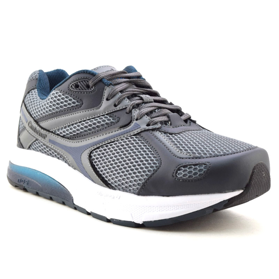 PHM - 31584 - CAMBRIAN