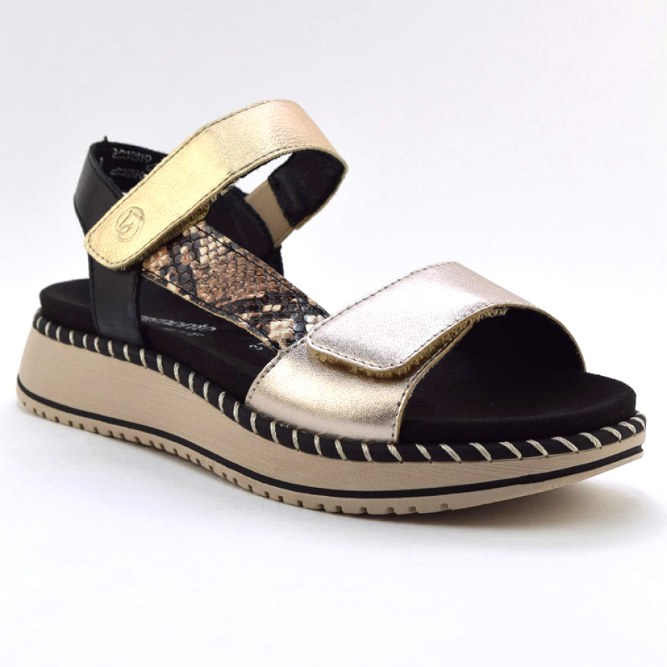 AFC - D3J50 - REMONTE